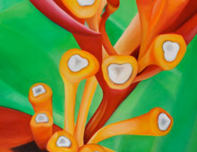 Hale Koa Heliconia