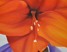 Fifth Bloom