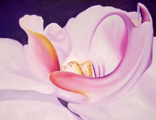 July Orchid