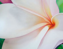 Key Plumeria