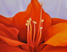 Sixth Bloom
