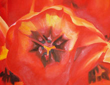 Tulips