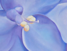 Violet